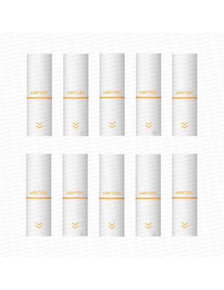Filtri di Ricambio per Wenax M1 - 10 Pezzi - Geek Vape